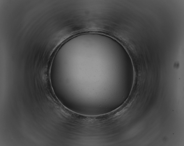 X0000091661170200708301432