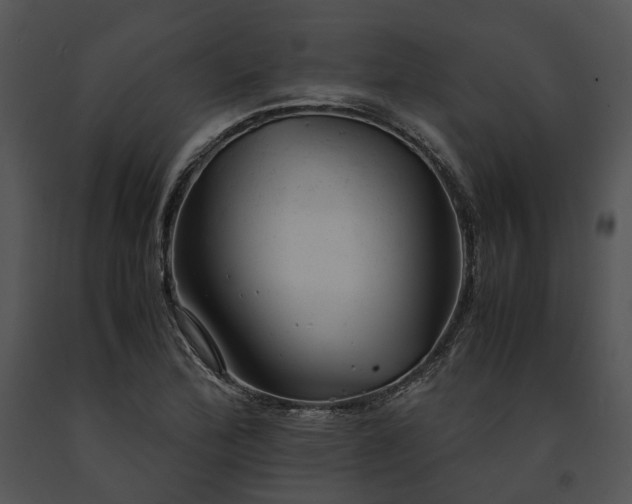 X0000091661172200708301432
