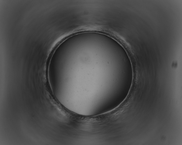 X0000091661174200708301432