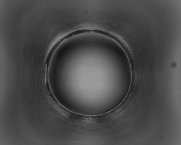 X0000091661175200708301432