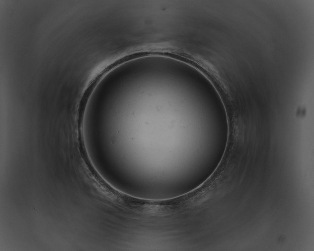 X0000091661176200708301432