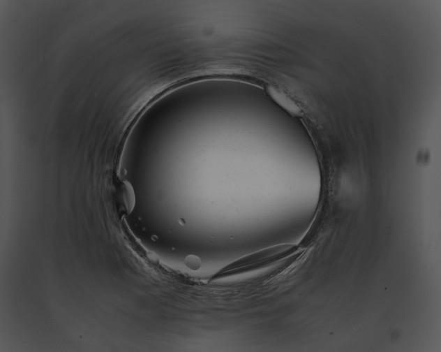 X0000091661177200708301432