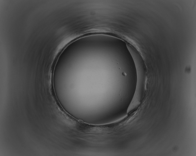 X0000091661179200708301432