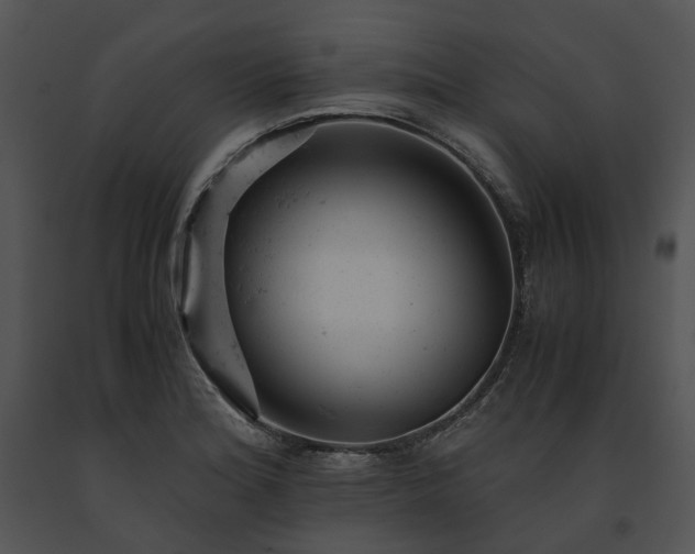 X0000091661180200708301432