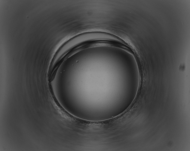X0000091661181200708301432