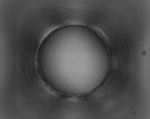 X0000091661182200708301432