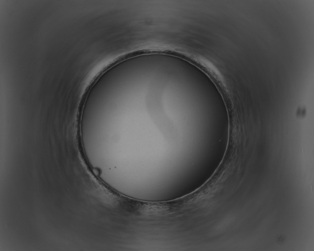 X0000091661183200708301432