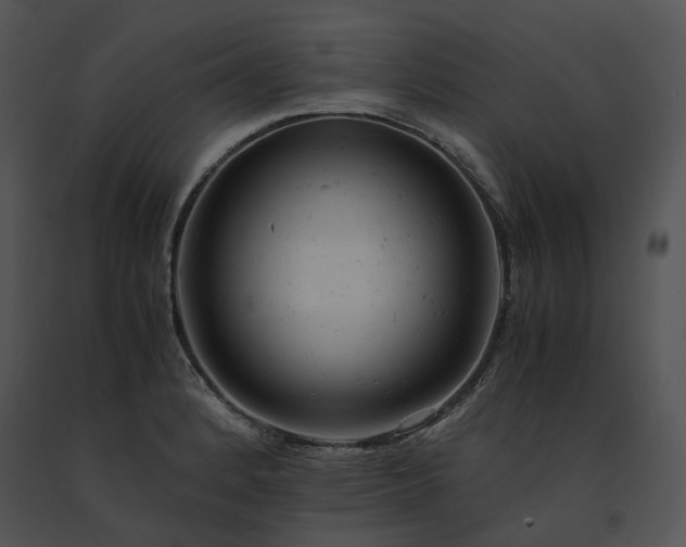 X0000091661184200708301432