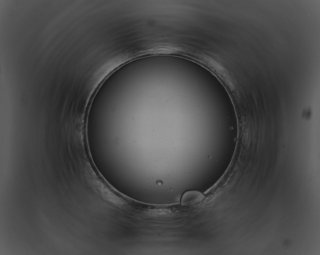 X0000091661186200708301432
