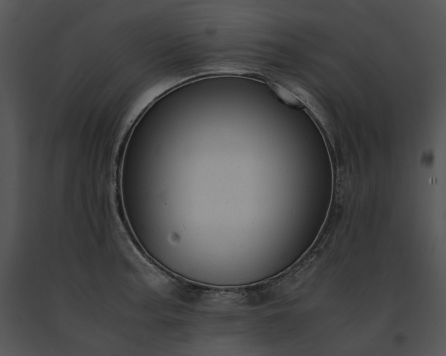 X0000091661187200708301432