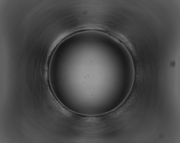 X0000091661188200708301432