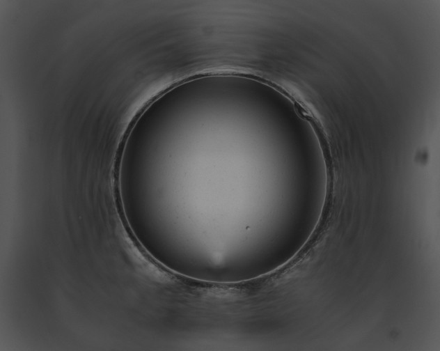 X0000091661189200708301432