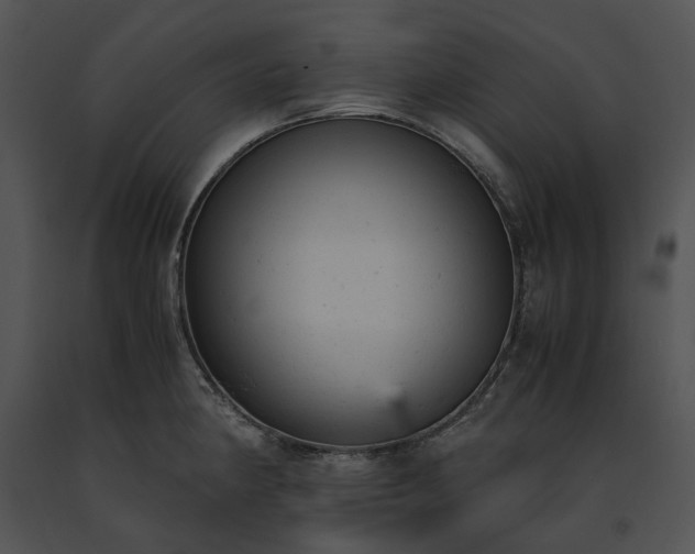 X0000091661190200708301432
