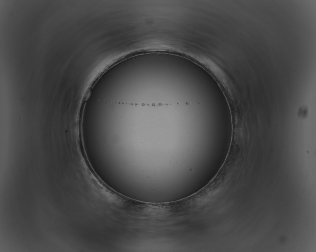 X0000091661191200708301432