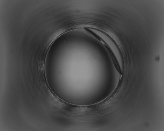 X0000091661193200708301432