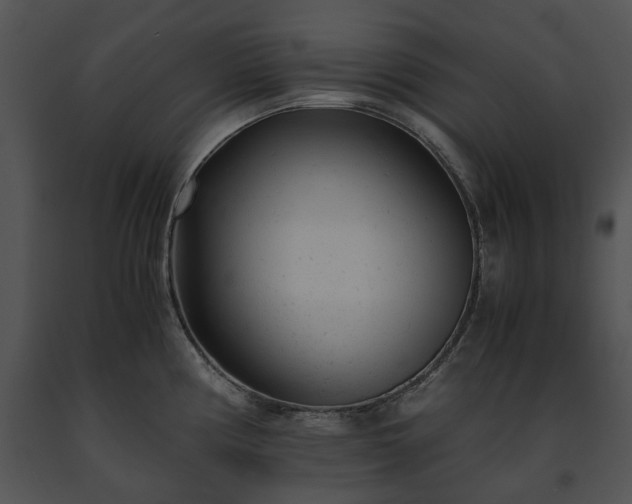 X0000091661194200708301432
