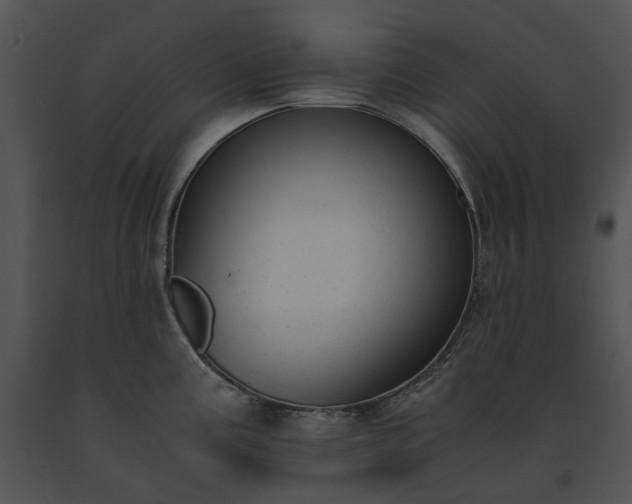 X0000091661195200708301432
