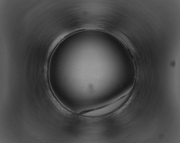 X0000091661196200708301432