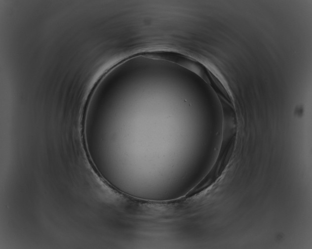 X0000091661197200708301432