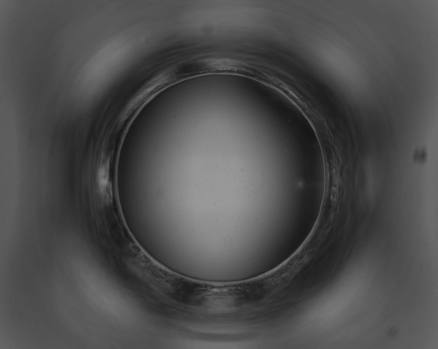 X0000091661198200708301432