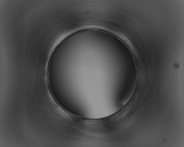 X0000091661199200708301432