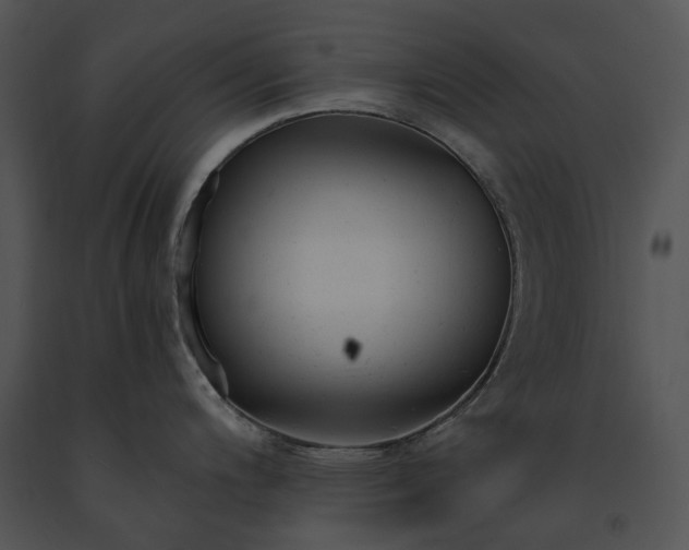 X0000091661200200708301432