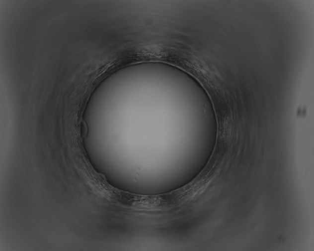 X0000091661201200708301431