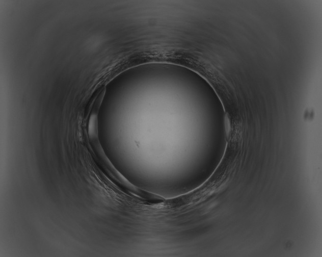 X0000091661202200708301431