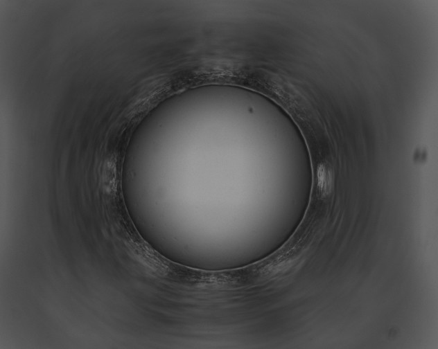 X0000091661203200708301431