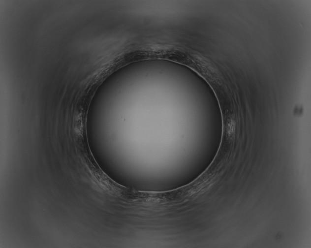 X0000091661204200708301431