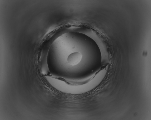 X0000091661206200708301431