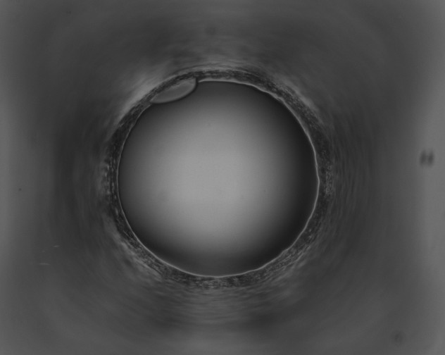 X0000091661208200708301431