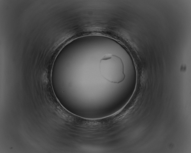 X0000091661209200708301431