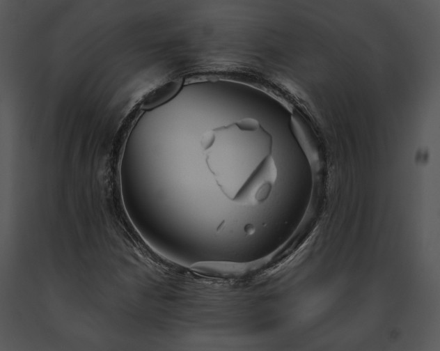 X0000091661210200708301431