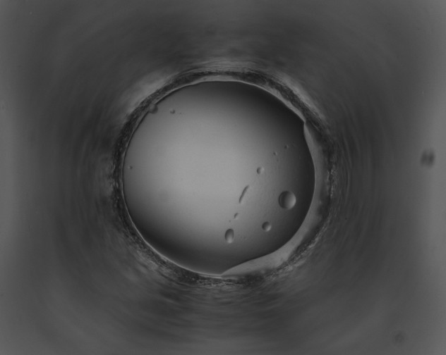 X0000091661213200708301431