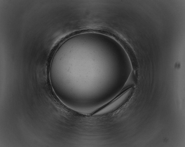 X0000091661214200708301431