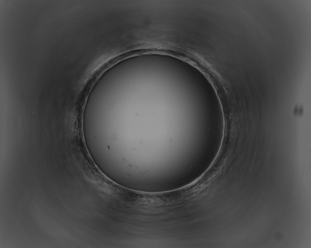 X0000091661215200708301431