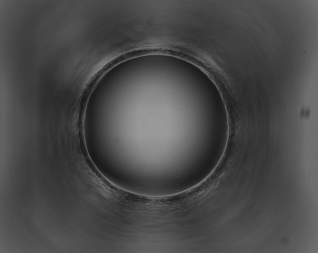 X0000091661216200708301431