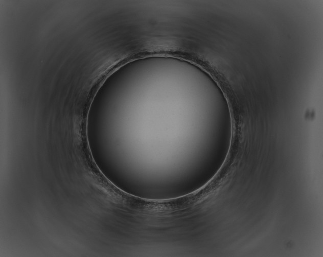 X0000091661217200708301431