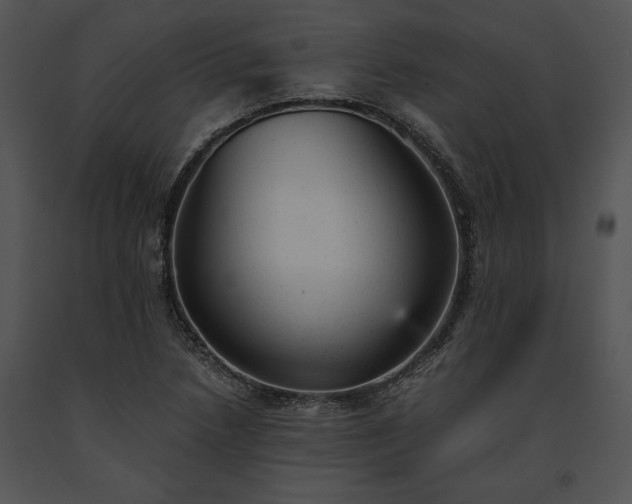 X0000091661218200708301431