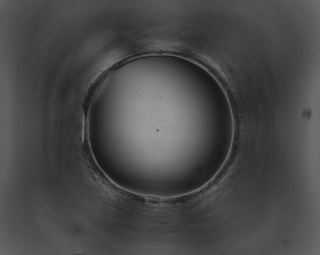 X0000091661219200708301431