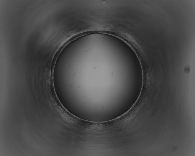 X0000091661220200708301431