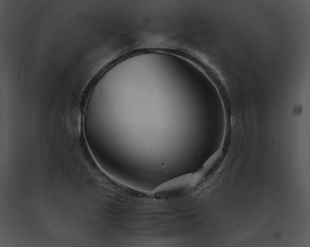 X0000091661221200708301431