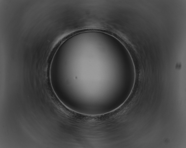 X0000091661222200708301431