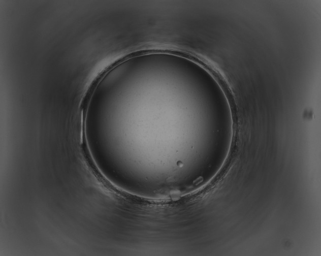 X0000091661223200708301431
