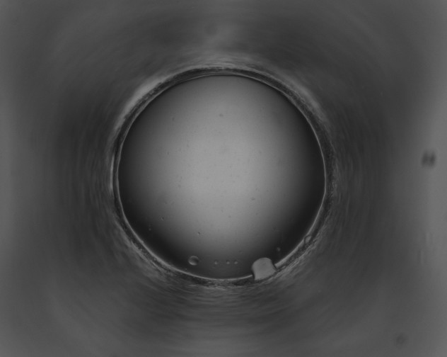 X0000091661224200708301431