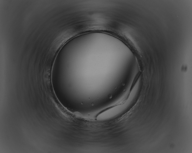 X0000091661225200708301431
