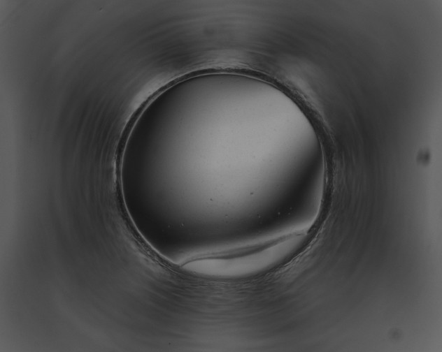 X0000091661226200708301431