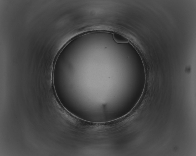 X0000091661228200708301431