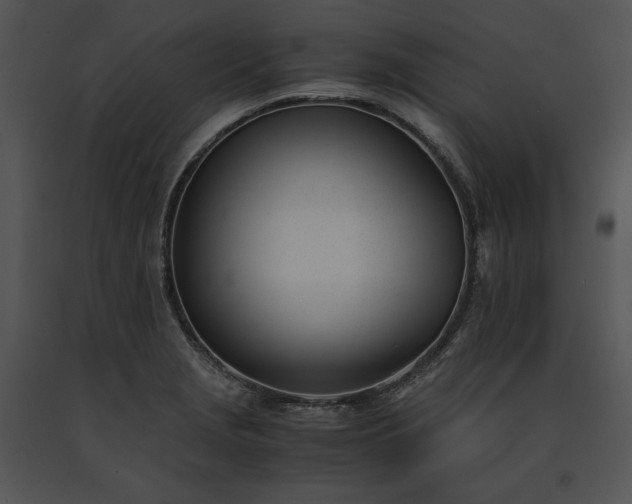 X0000091661229200708301432